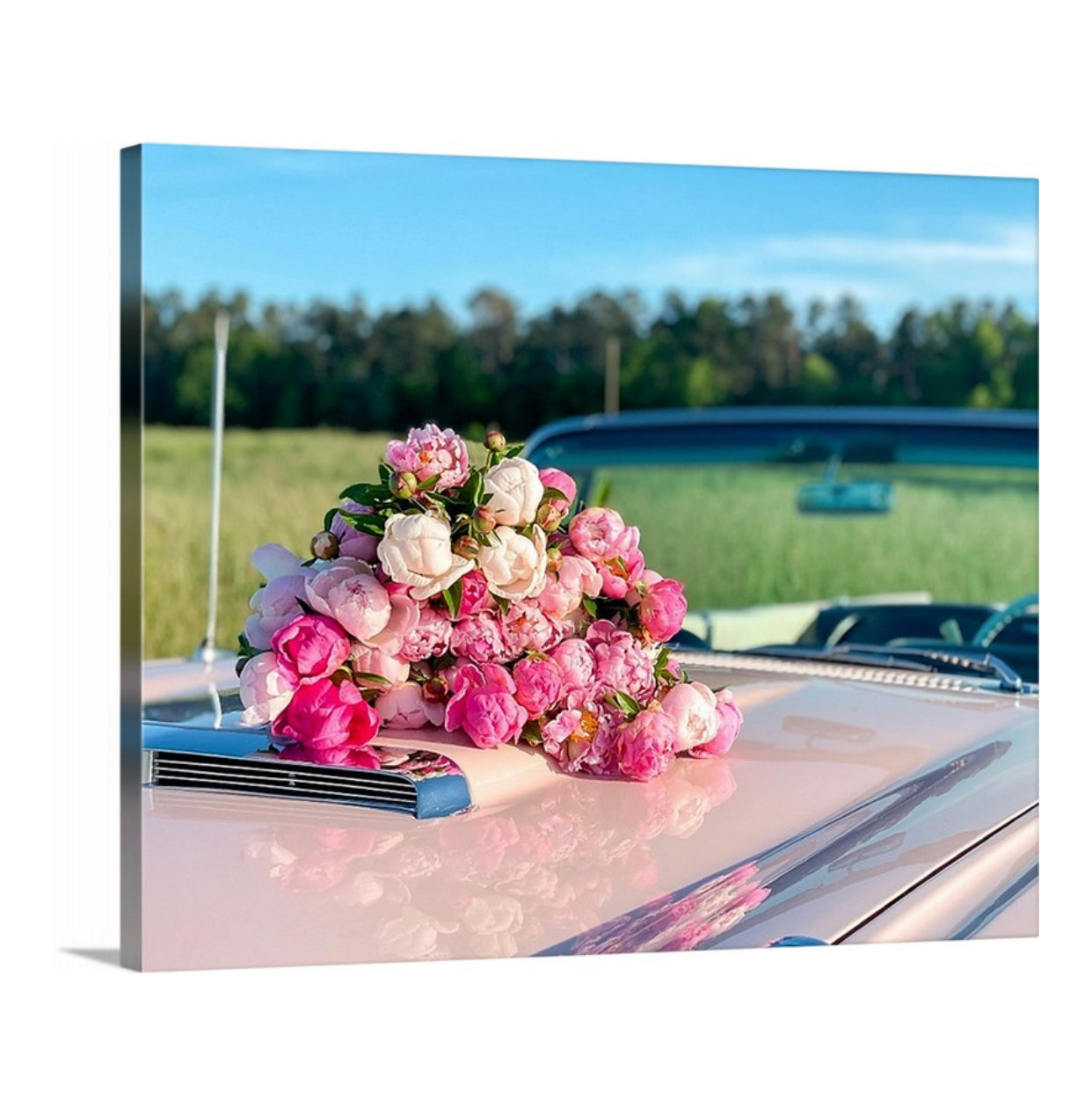 Peonies on Pink Classic Car Gallery Wrapped Canvas