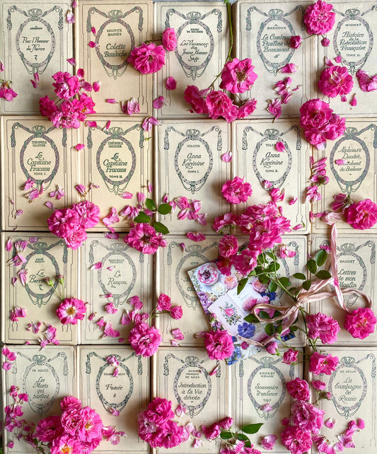 Französische Bücher im Shabby-Chic-Stil mit Rosen-Galerie auf Leinwand