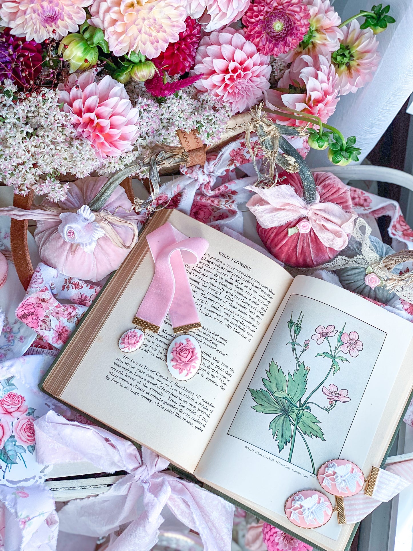 Flores silvestres que vale la pena conocer - Little Nature Library