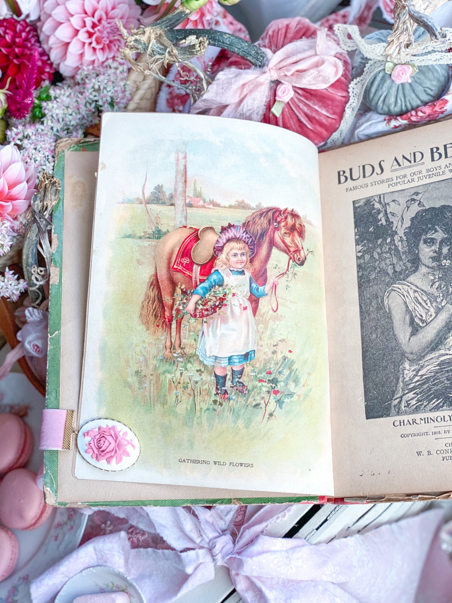 Buds and Beauties - Vintage Children’s Book