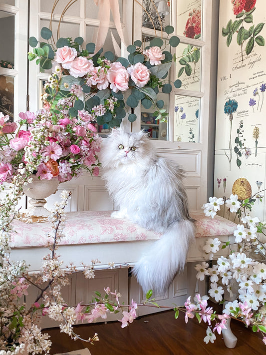Gato persa plateado en lienzo envuelto en galería de flores