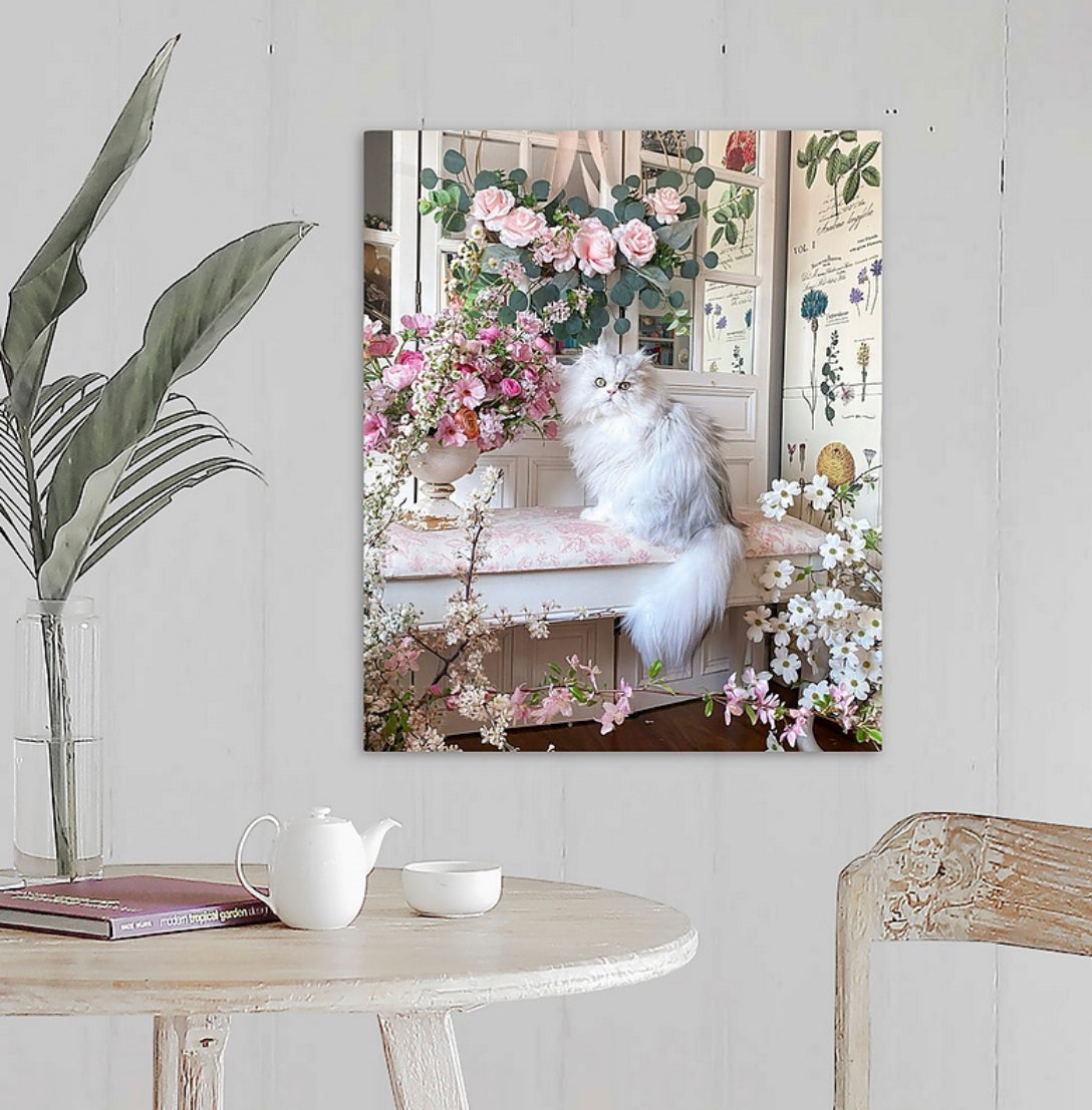 Silver Persian Cat in Flower Gallery Wrapped Canvas