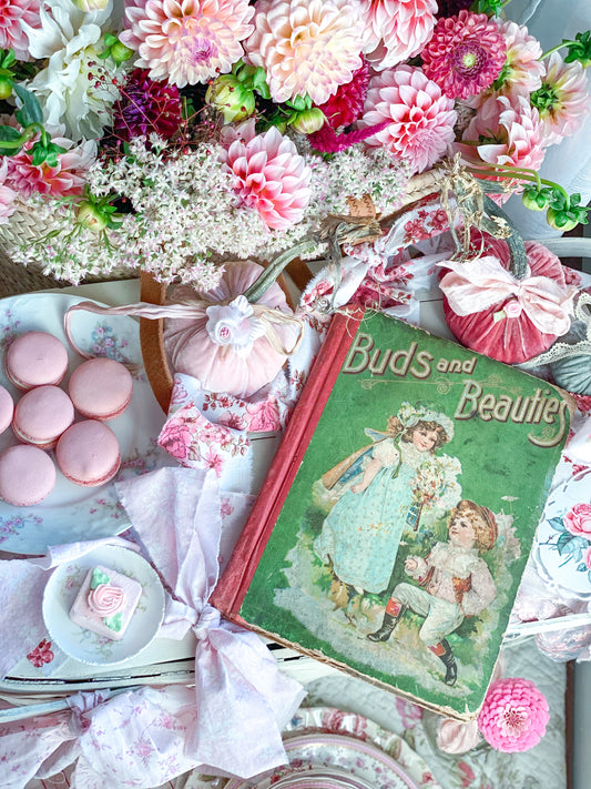 Knospen und Schönheiten - Vintage Kinderbuch