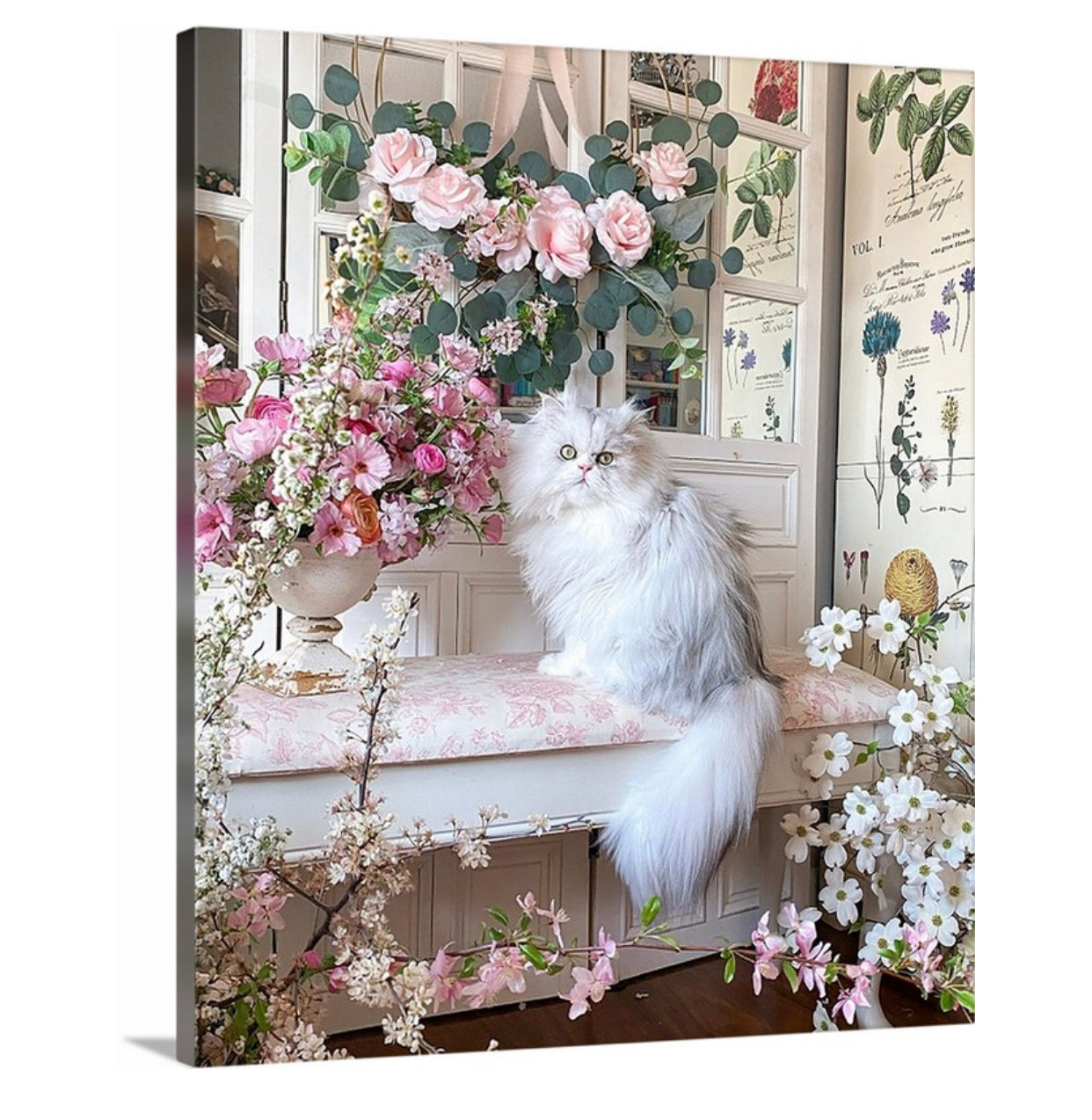 Silver Persian Cat in Flower Gallery Wrapped Canvas