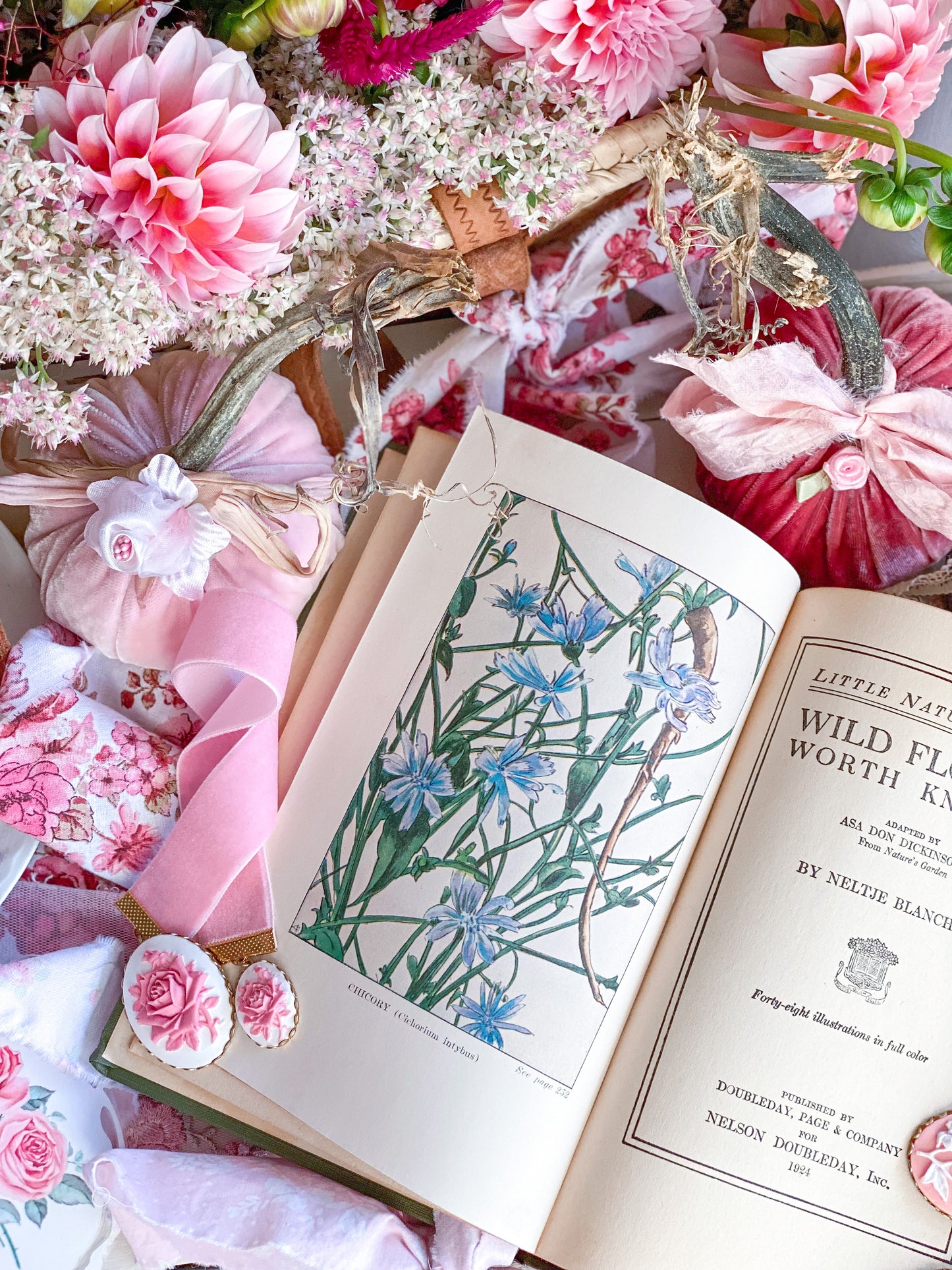 Wildflowers Worth Knowing - Little Nature Library